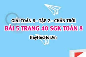 Bài 5 trang 40 Toán 8 Tập 2 Chân trời sáng tạo